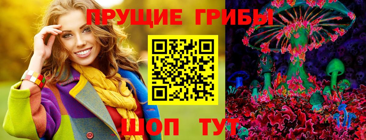 Псилоцибиновые грибы Cubensis Пенза