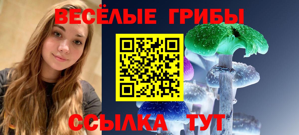 Пенза  Псилоцибиновые грибы мухоморы  Галлюциногенные грибы Magic Shrooms  Вход с VPN 
